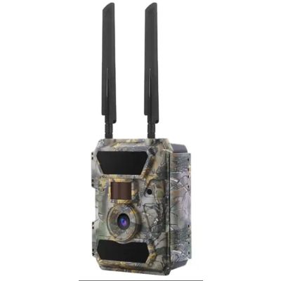 Wilsus Tradenda 4G WIRELESS